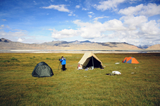India-Ladakh-Himalaya Horse Safari